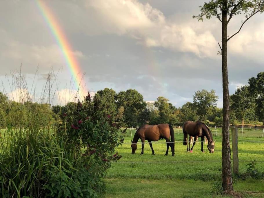 Charmante Ferienwohnung In Idyllischer Lage Jever Esterno foto