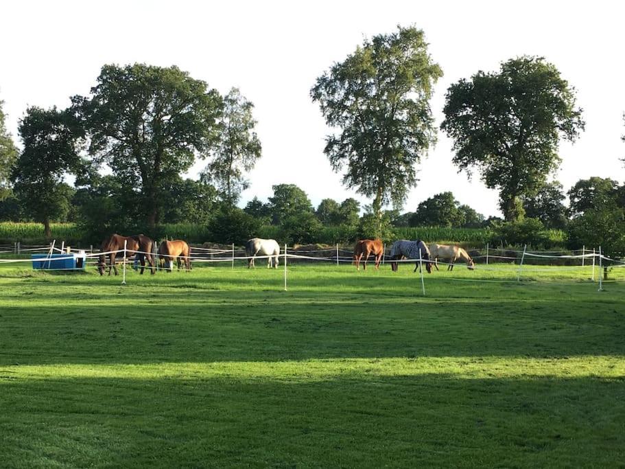 Charmante Ferienwohnung In Idyllischer Lage Jever Esterno foto